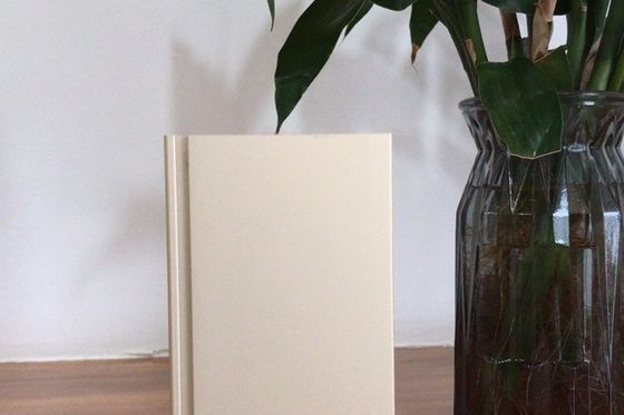 お買い得 900トン/月の供給能力と最大6500mmのプロファイル長を持つ手動ラッキング陽極酸化生産ライン オンライン